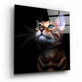 Kitten Glass Wall Art.